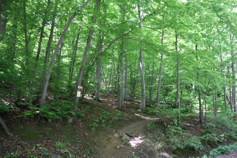 Scopri Vitosha Mountain, un tour escursionistico privato