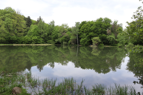 Erlebe den Vitosha-Berg, eine private Wandertour