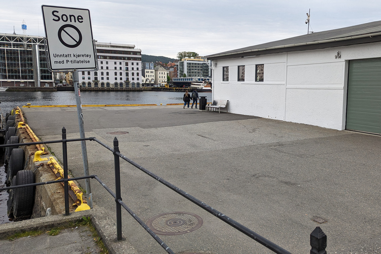 Bergen: Viking Ship Sailing Experience and Sightseeing Trip