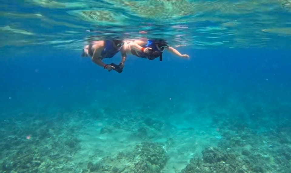 Jet Snorkel-Snorkeling with Turtles