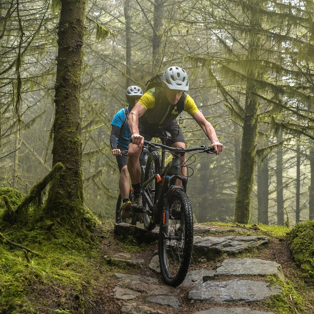 From Dublin: Mountain Bike Experience GetYourGuide