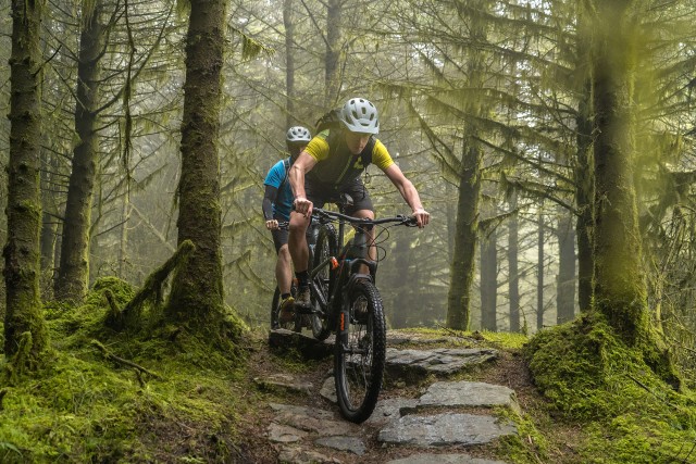 Visit From Dublin Mountain Bike Experience in Newry