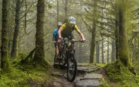 Mourne Mountains -Rostrevor Mountain Bike Rental