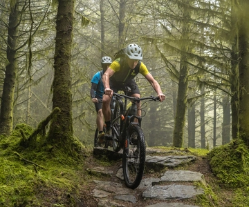 From Dublin: Mountain Bike Experience