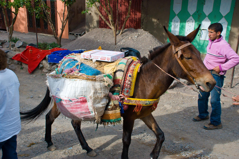 3-Day Atlas Mountains and Valley Small Group Trek