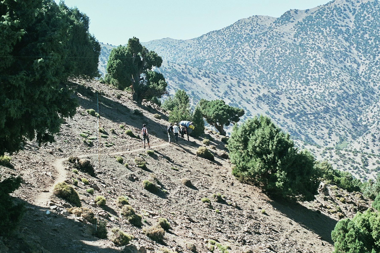 Randonnée en petit groupe de 3 jours dans les montagnes et la vallée de l'Atlas