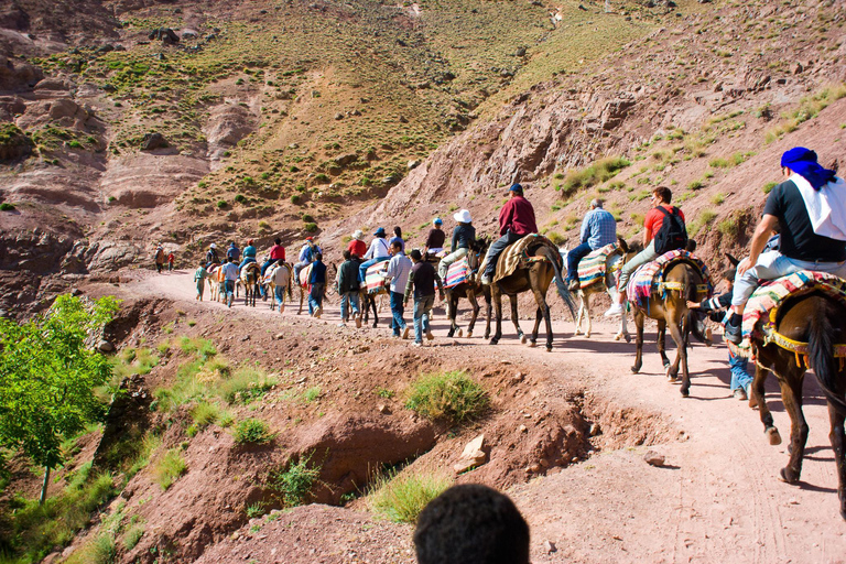 3-Day Atlas Mountains and Valley Small Group Trek