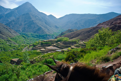 Randonnée en petit groupe de 3 jours dans les montagnes et la vallée de l'Atlas