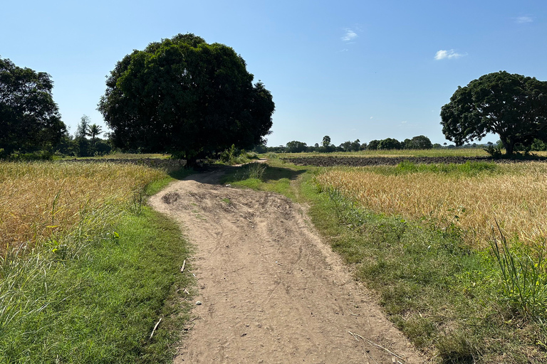 Avventura in Quad Off-Road con trasferimento in albergo