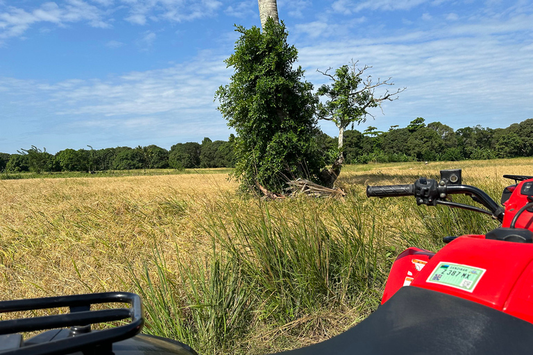 Avventura in Quad Off-Road con trasferimento in albergo