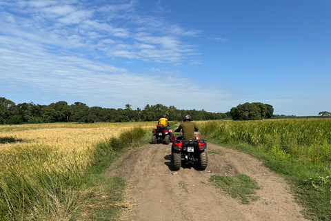 Aventura en quad todoterreno con traslado al hotelAventura en quad todoterreno