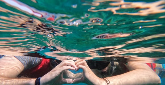 Fuerteventura: Guided Snorkeling in La Lajita with Pickup