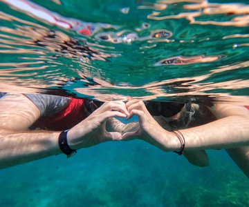 Fuerteventura: Guided Snorkeling in La Lajita with Pickup