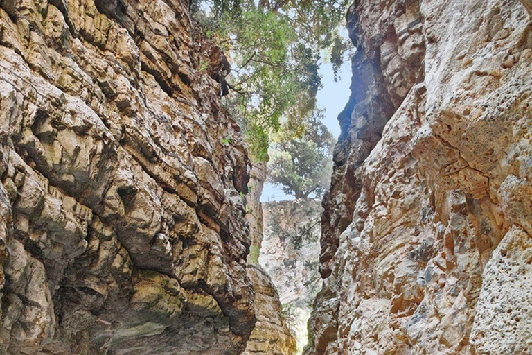 Au départ de La Canée : randonnée et baignade dans les gorges d&#039;Imbros et à Sfakia (journée)