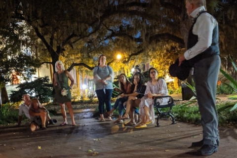 Savannah: Visita Fantasmagórica Nocturna Definitiva