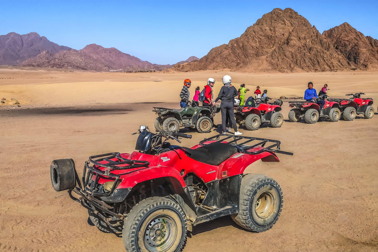 Agadir oder Taghazout: Strand und Sanddünen-Quad-Biking mit Tee