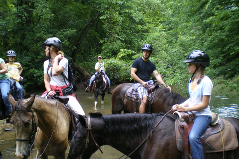 Agadir 2hours Horse Riding visite the flamingo river