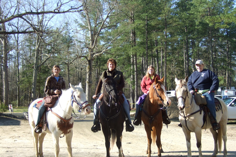 Agadir 2 Stunden Reiten Besuch des Flamingo-Flusses