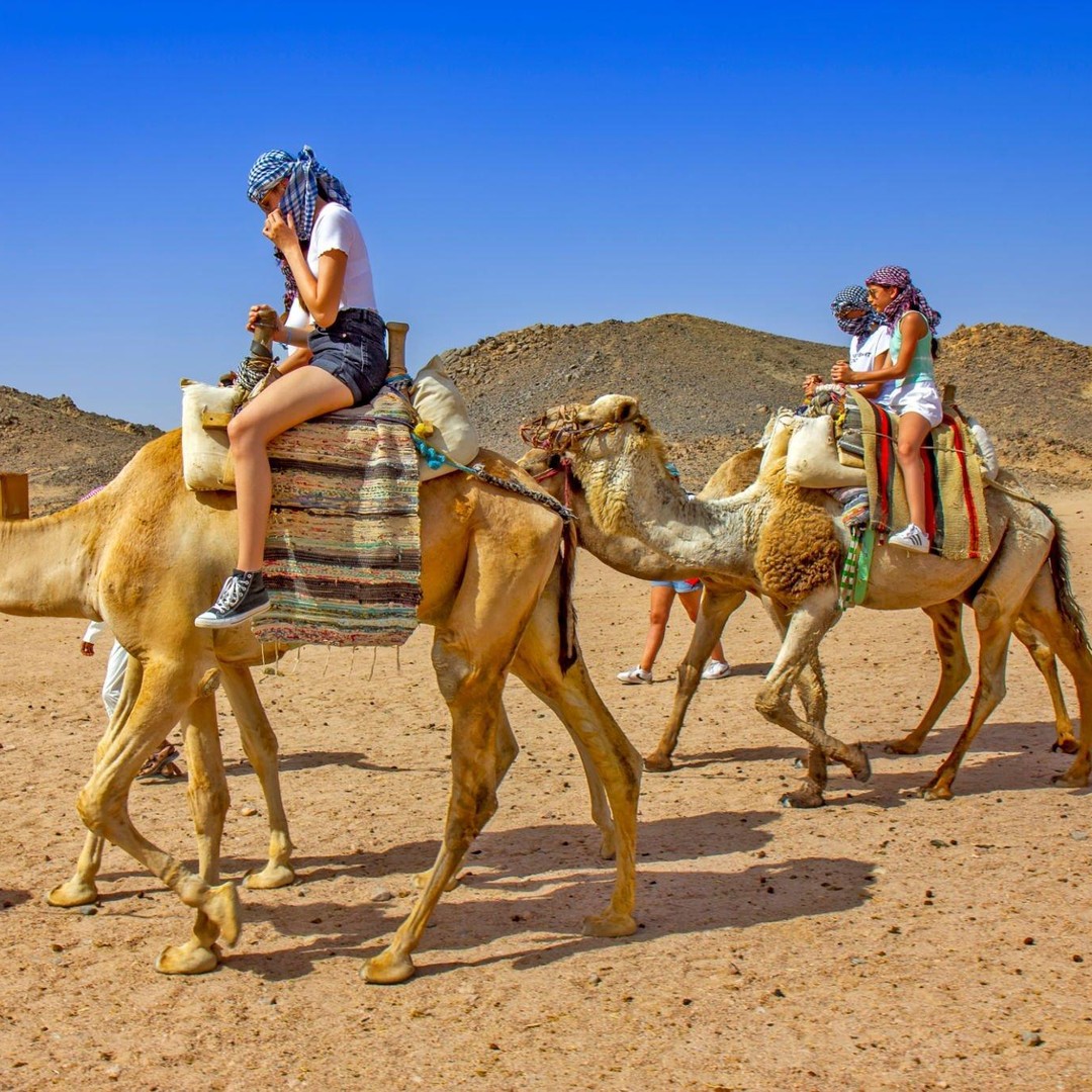Agadir : Balade à dos de chameau au coucher du soleil sur la rivière Flamingo avec dîner barbecue