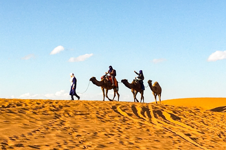 Agadir: Sunset Camel Ride - Flamingo River With Dinner Agadir: Sunset Camel Ride - Flamingo River BBQ & Couscous