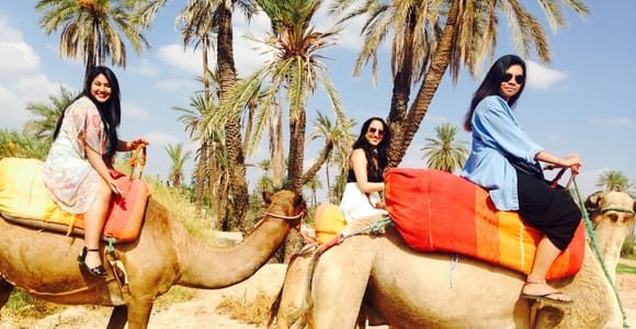 Camel Riding Tour With Hotel Transfers in Agadir