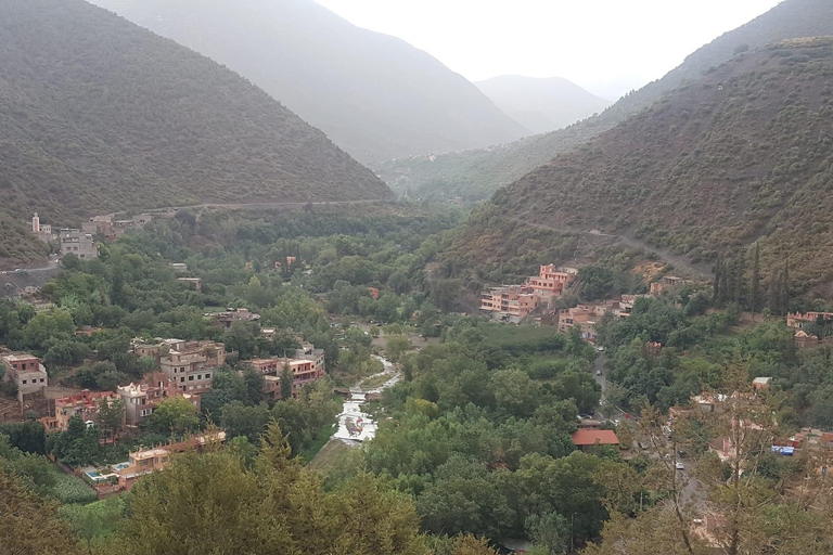 Excursion d'une journée dans les montagnes de l'Atlas depuis Marrakech