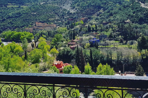 Excursion d'une journée dans les montagnes de l'Atlas depuis Marrakech