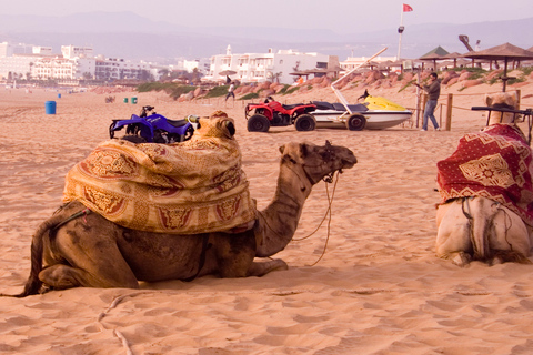 Agadir: Argan Oil Factory Tour