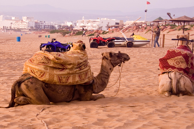 Agadir: excursão à fábrica de óleo de argan