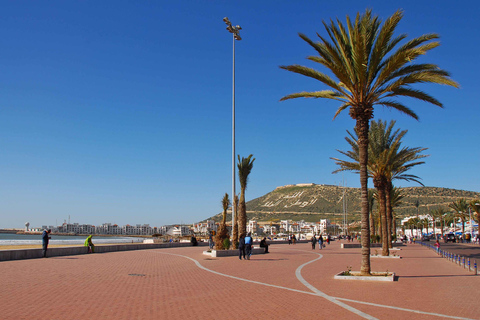 Agadir : Visite de l'usine d'huile d'argan