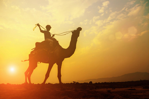 Agadir: Paseo en camello con téAgadir: Paseo en Camello con Opción de Té y Cena Barbacoa