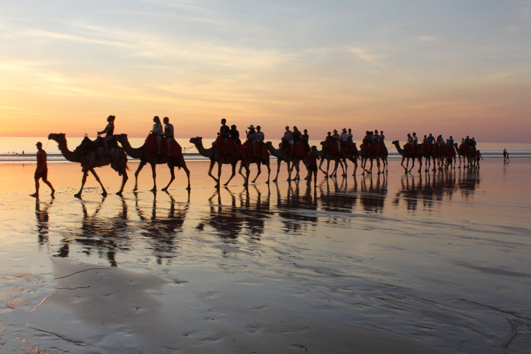 Agadir: Paseo en camello con téAgadir: Paseo en Camello con Opción de Té y Cena Barbacoa