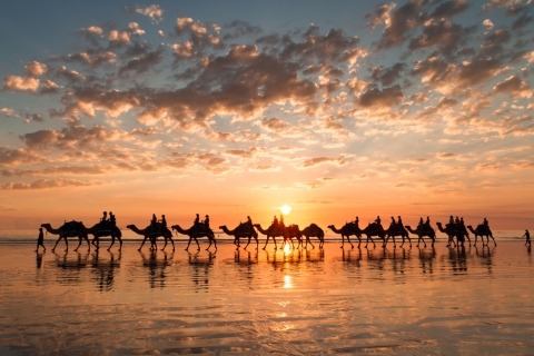 Paseo en camello por el río Flamingo con téPaseo en camello por el río Flamingo con opción de té y barbacoa