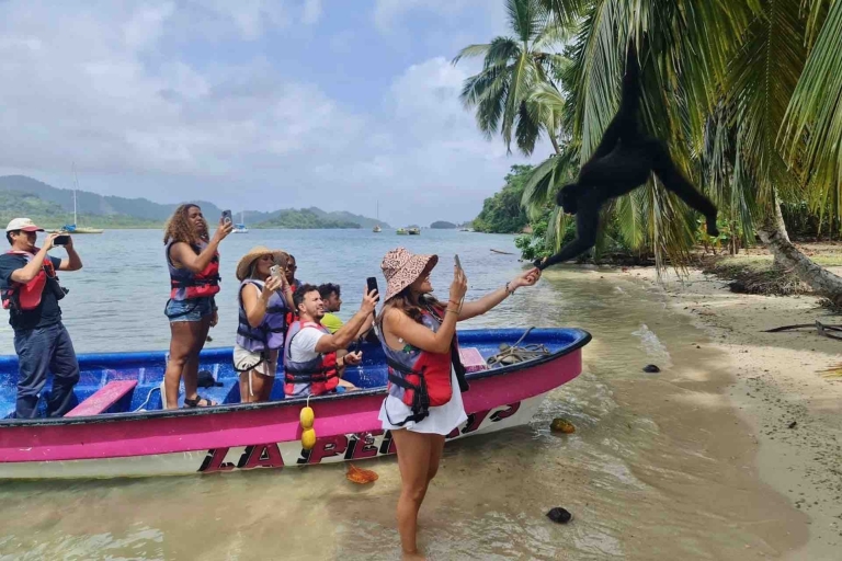 From Panama City: Caribbean Island Hopping & Portobelo Fort Isla Grande Panama – Caribbean Island Hopping & Portobelo