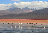 Uyuni, Uyuni Salt Flats e Red Lagoon 3 giorni Tour - Housity