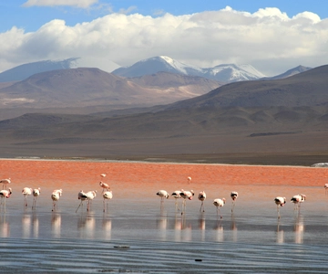 Uyuni: Uyuni Salt Flats and Red Lagoon 3-Day Tour