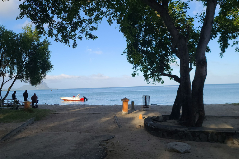 Observation privée, personnalisée et exclusive des baleines