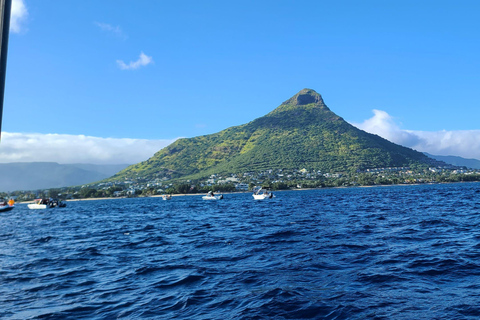 Observation privée, personnalisée et exclusive des baleines