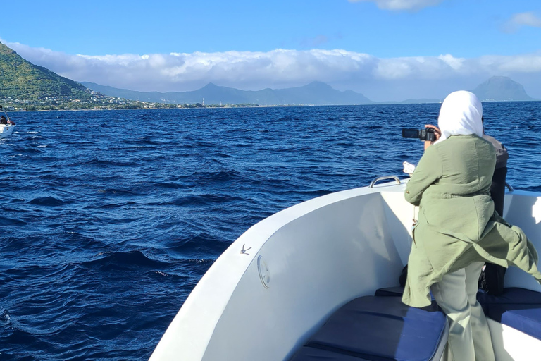 Observation privée, personnalisée et exclusive des baleines