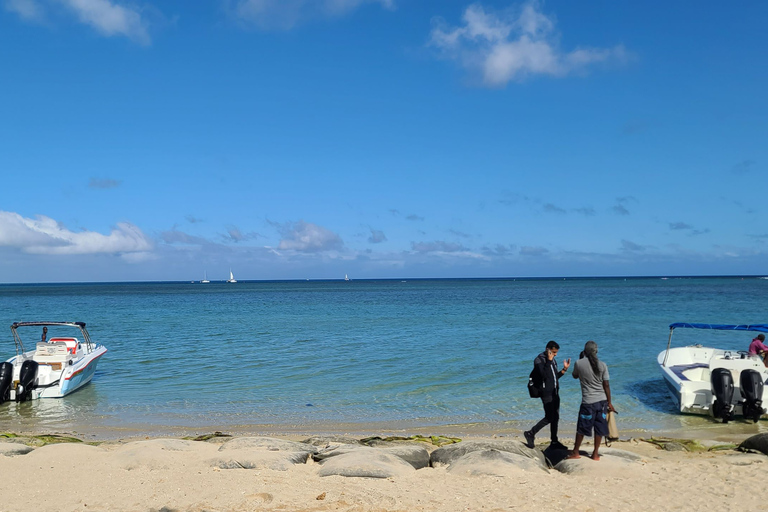 Observation privée, personnalisée et exclusive des baleines