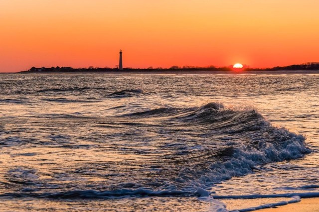 Visit Cape May Sunset Dolphin Cruise with Optional Wine Tastings in Rehoboth Beach, Delaware