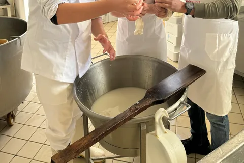 Vico Equense : Visite de la laiterie "Mozzarella Experience".