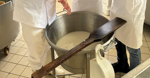 Vico Equense: Tour in der Käserei "Mozzarella Experience"