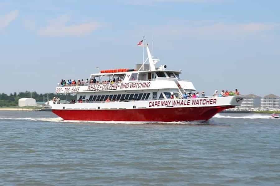 Cape May: Große Leuchtturm-Kreuzfahrt. Foto: GetYourGuide