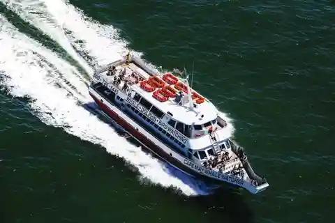 Cape May: Stor fyrkryssning