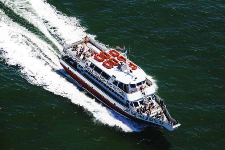 Cape May: Große Leuchtturm-Kreuzfahrt. Foto: GetYourGuide