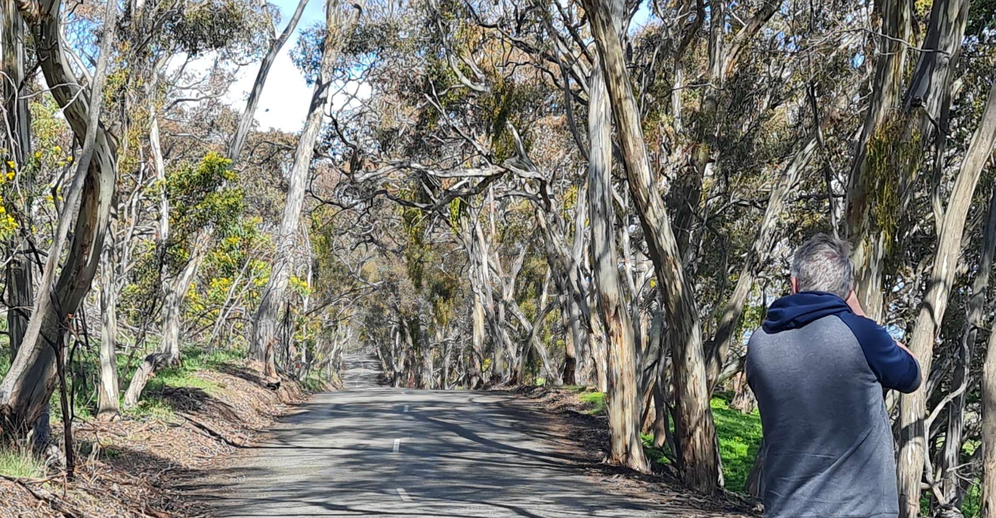 Charming Clare Valley Sightseeing & Wine Tour - Housity