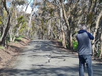 Charming Clare Valley Sightseeing & Wine Tour - Housity