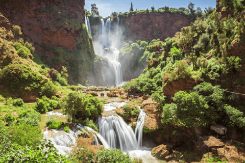 Cascades d'Ouzoud depuis Marrakech avec promenade en bateauGroupe - Visite partagée à Ouzoud