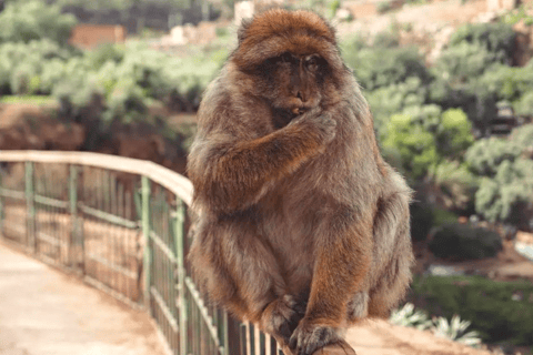 Cascadas de Ouzoud desde Marrakech con paseo en barcoGrupo - Visita compartida a Ouzoud